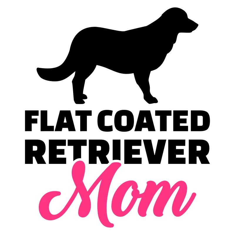 Flat Coated Retriever