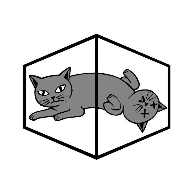 Schrödingers Katze