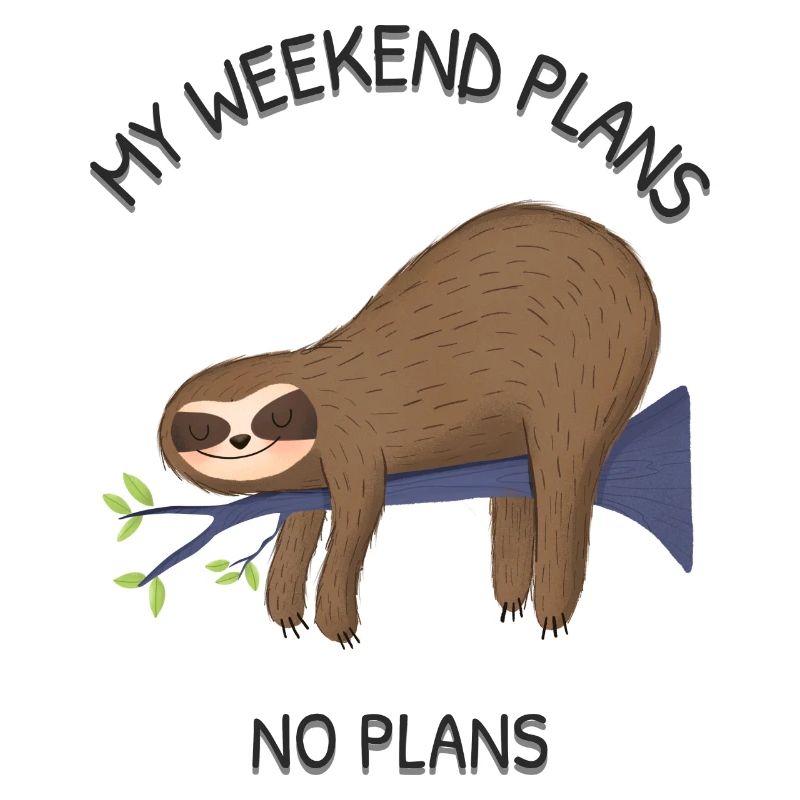 Pas de projets de week-end pour le paresseux