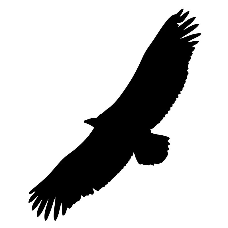 condor