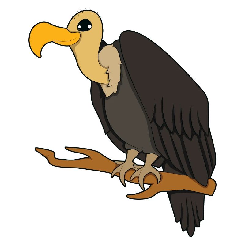Geier