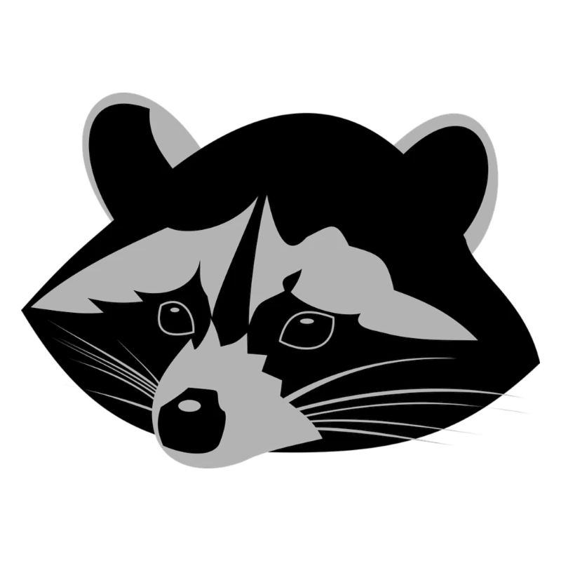 Waschbär ,Racoon