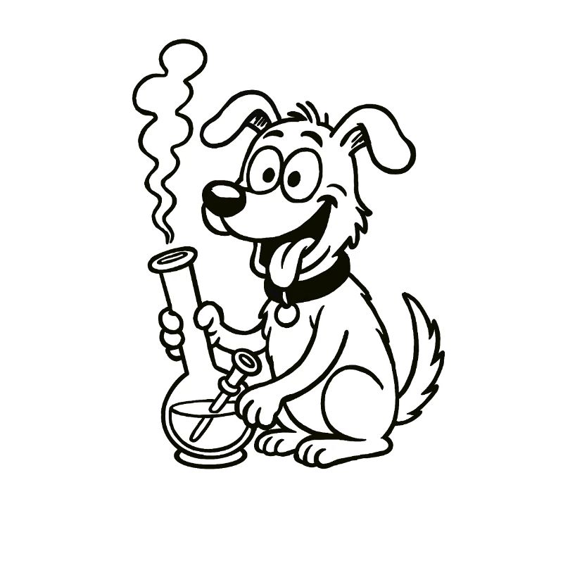 Bongodoggo