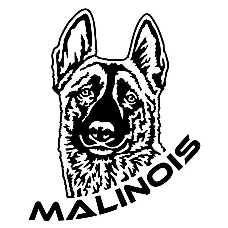 424 Malinois