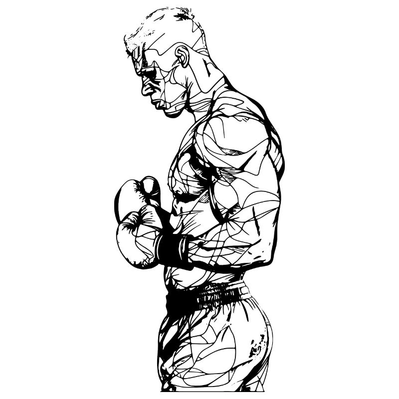 Boxer Drawing