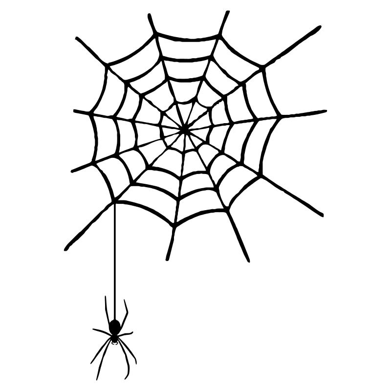 Spinnennetz mit Spinne