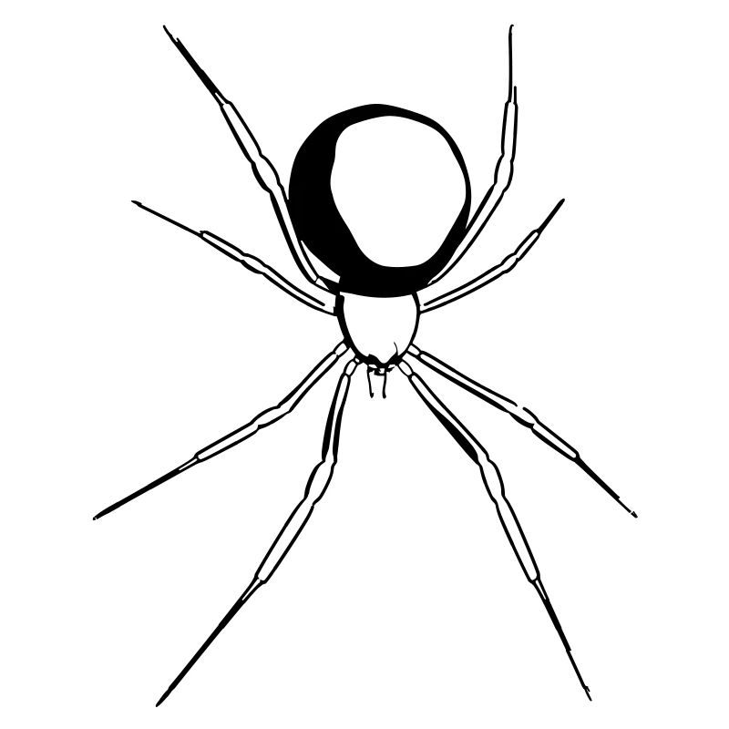 Schwarze Witwe