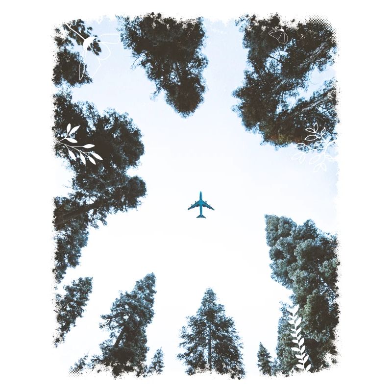 Forêt