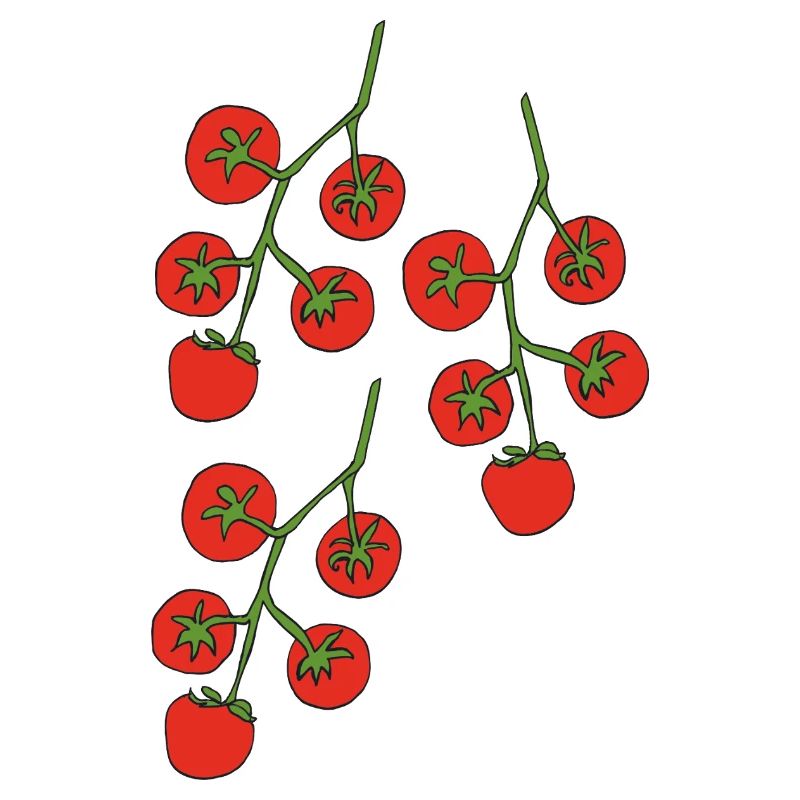 Buisson de tomates triple