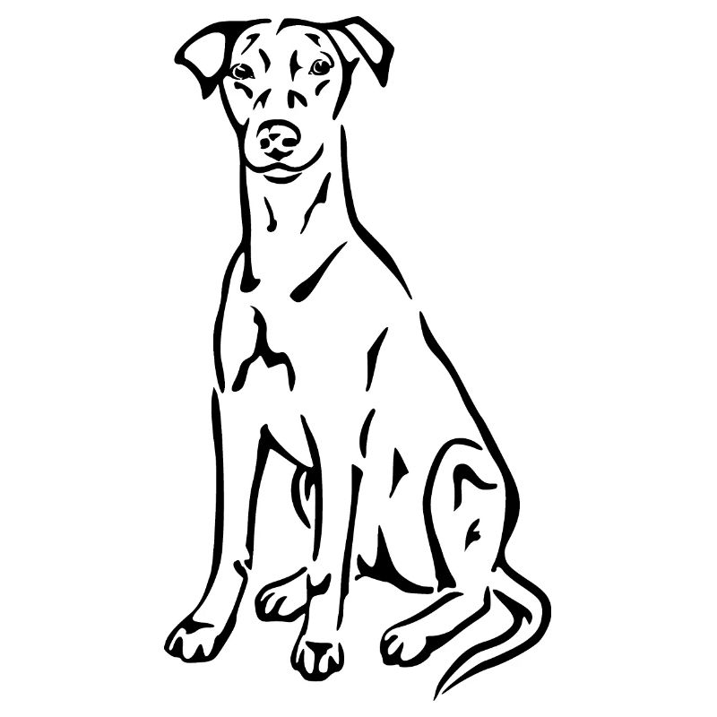 Deutscher Pinscher