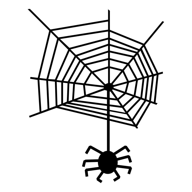 Spinnennetz Spinne
