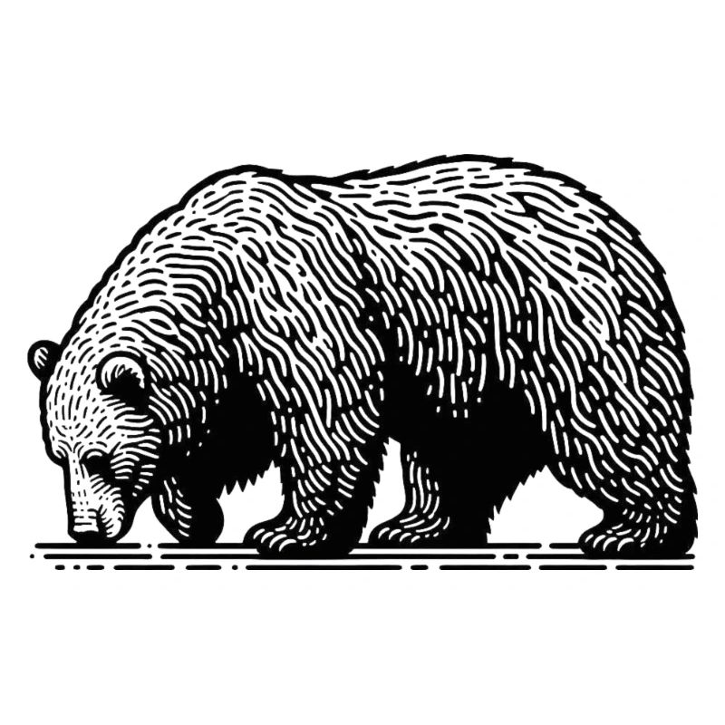 Bär