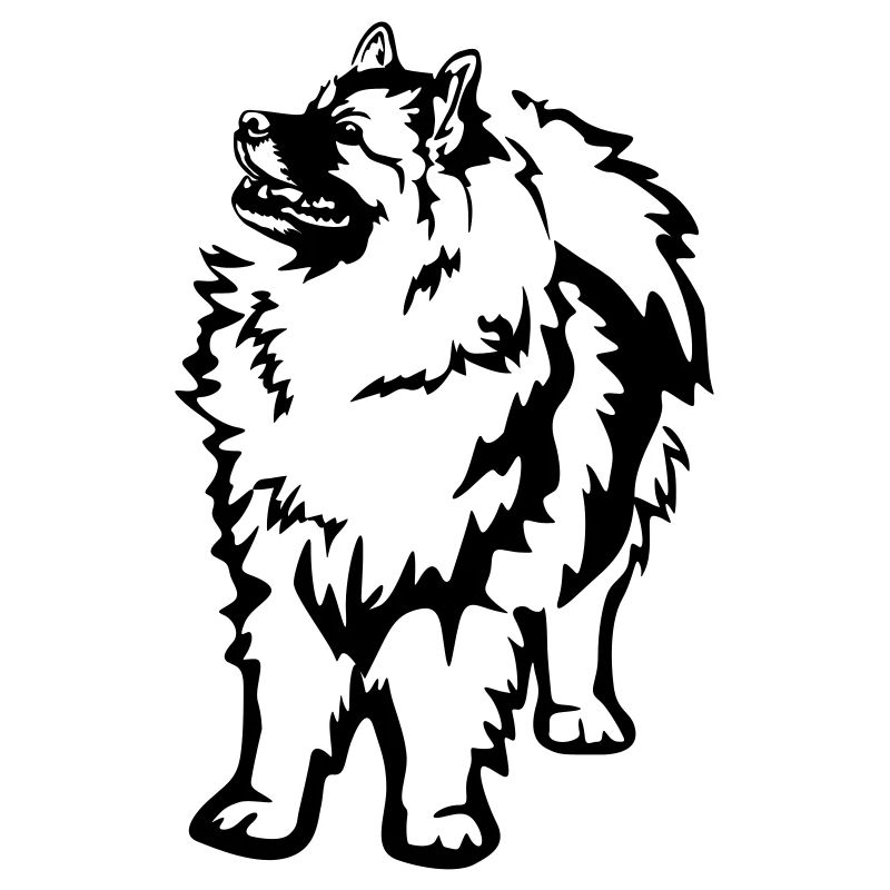 Keeshond