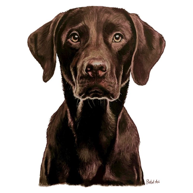 Labrador