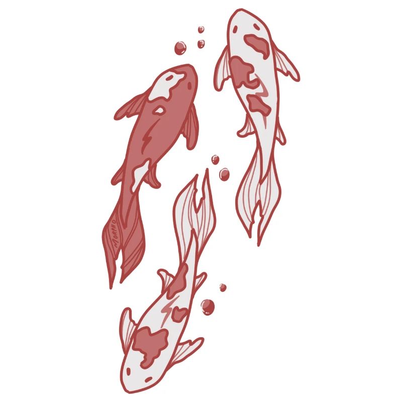 Koi Fish