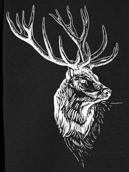 Hirsch