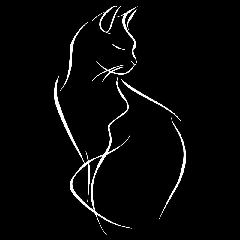 Croquis de chat