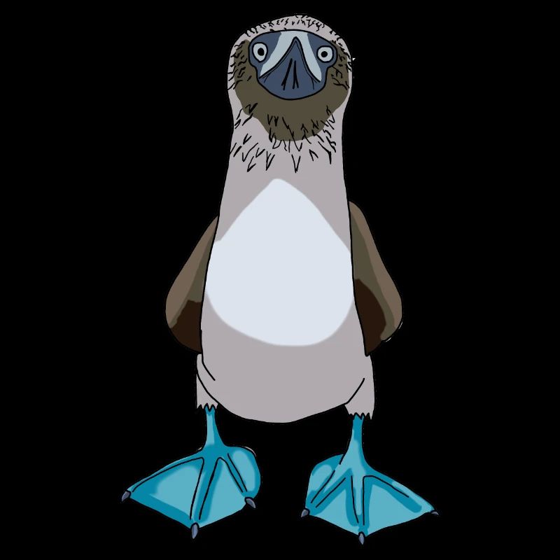 Blue Footed Booby