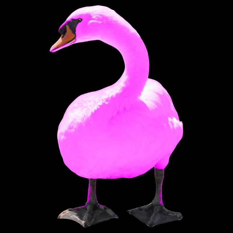 Schwan