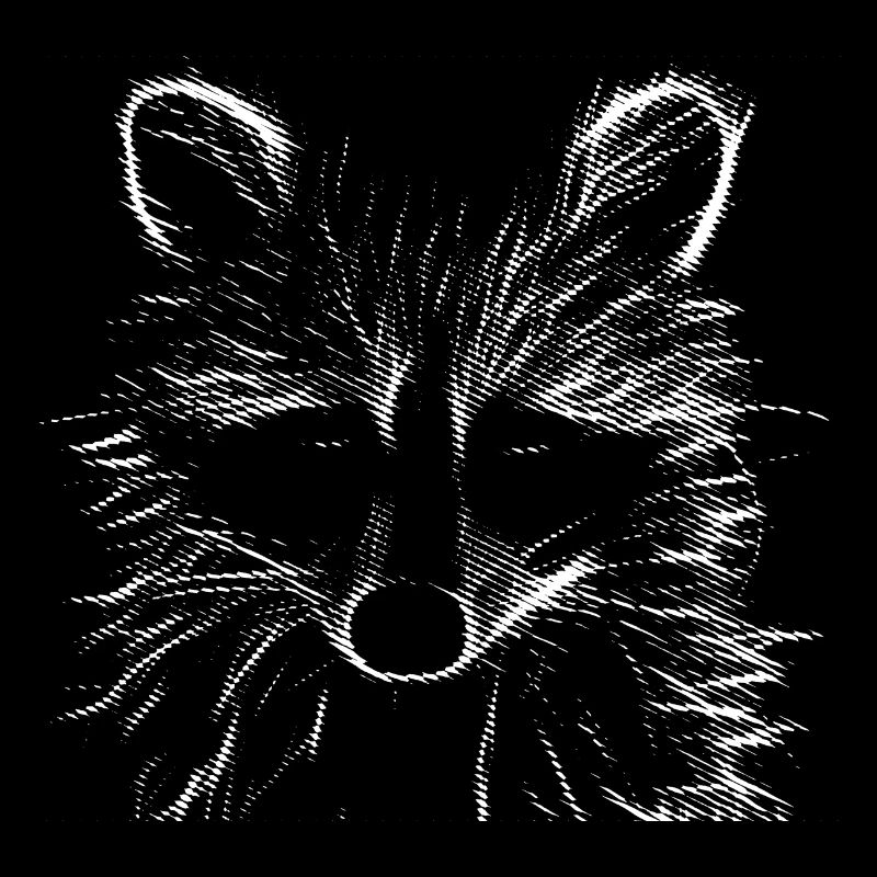 dormilón racoon