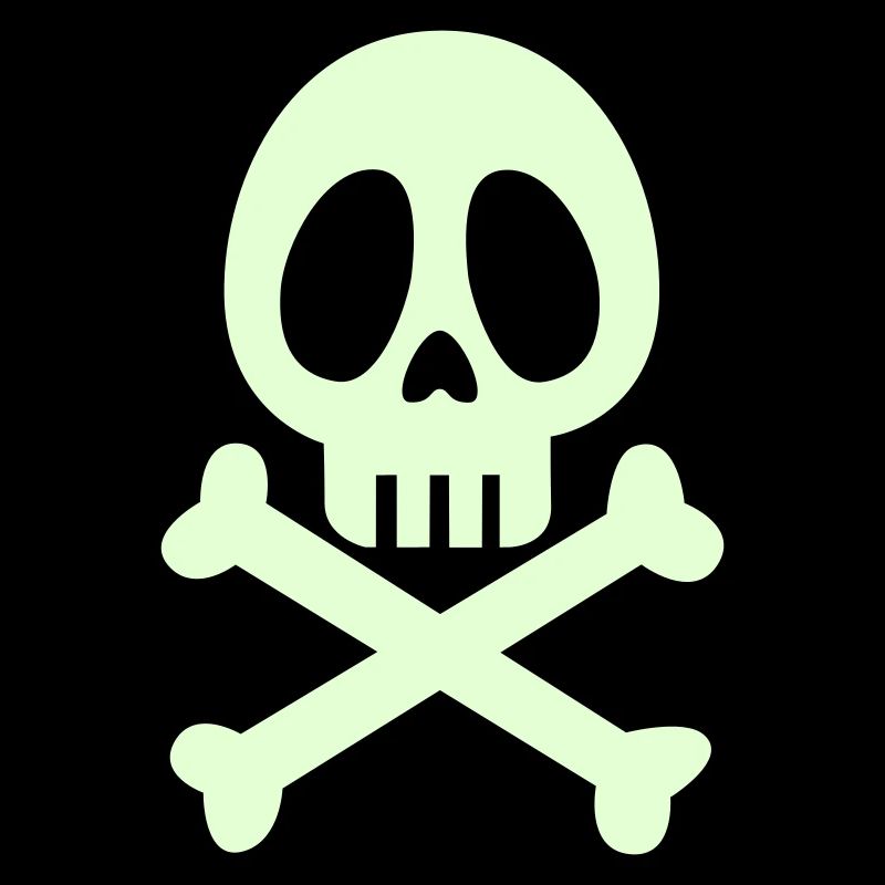 Pirate skull and bones - tete de mort