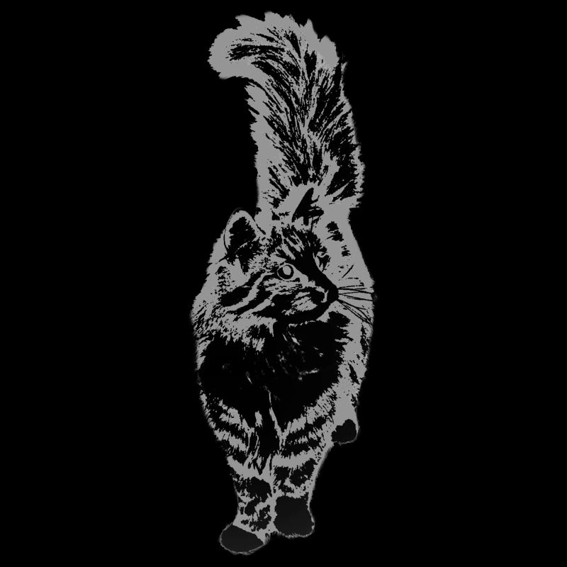 norwegische_waldkatze