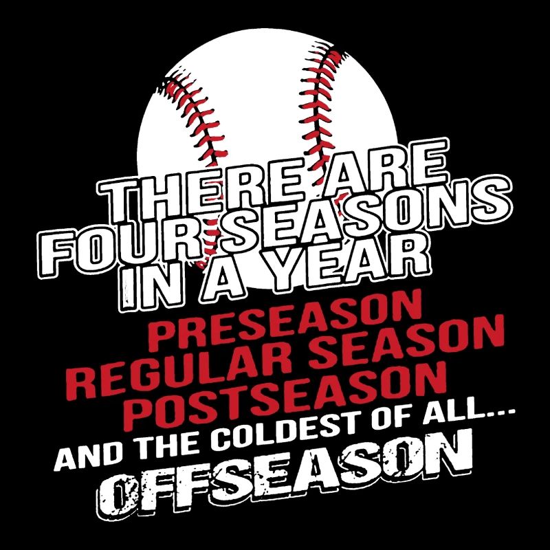 Baseball Four Seasons