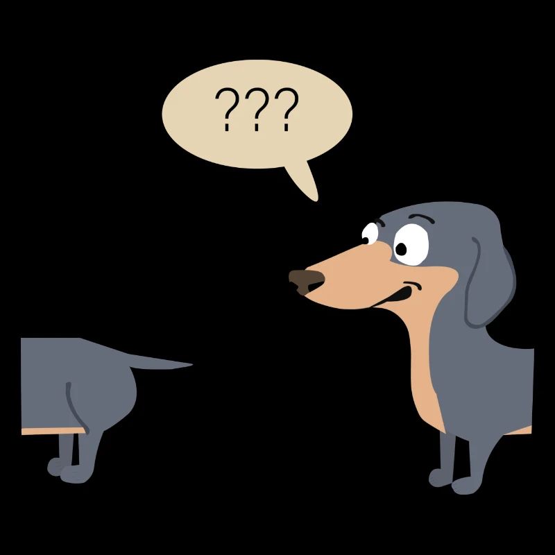Confused Dachshund