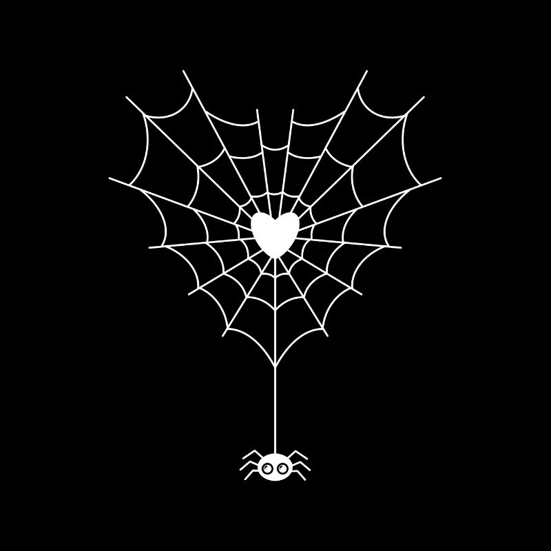 Spinne im Spinnennetz