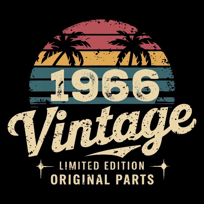 Großartig seit 1966 1966 Geburtstagsgeschenk