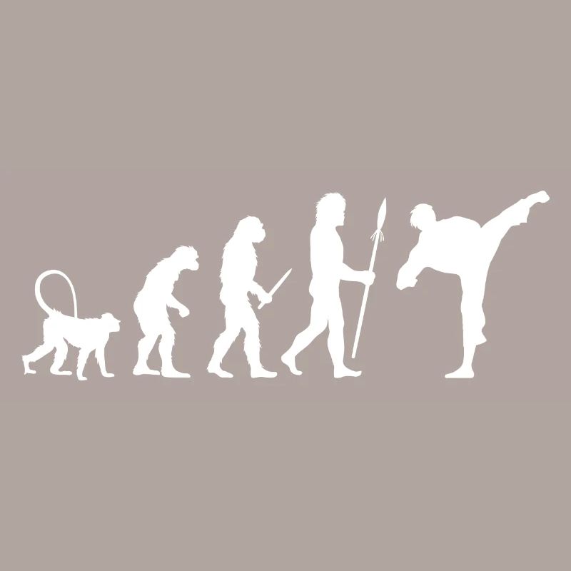 Karate Evolution