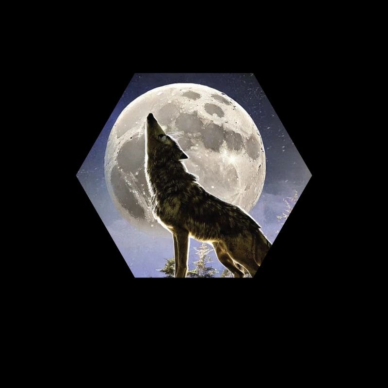 Wolf der hault