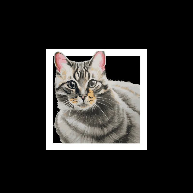 Katze