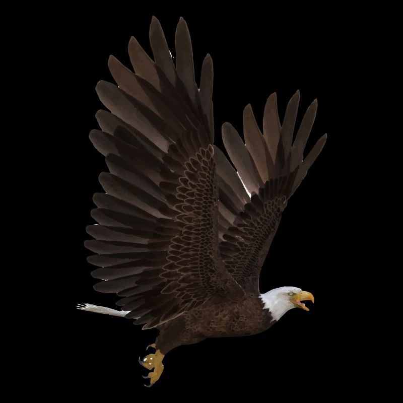 Aigle