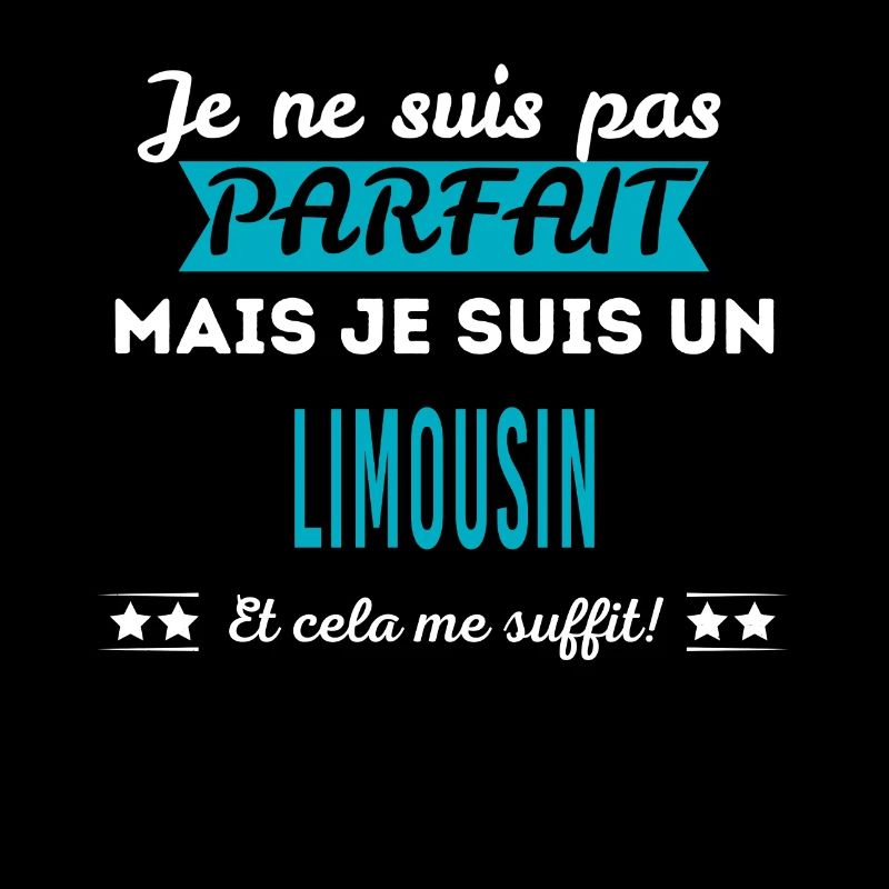Je ne suis pas parfait LIMOUSIN