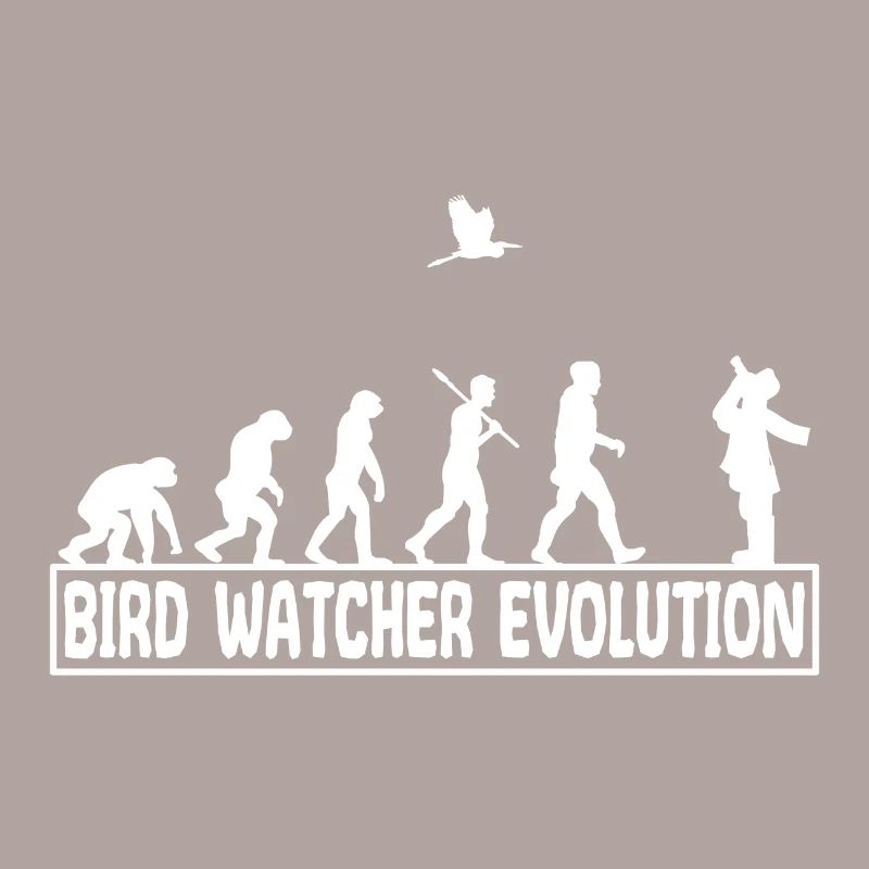 Ornithologie Oiseaux chanteurs observer évolution