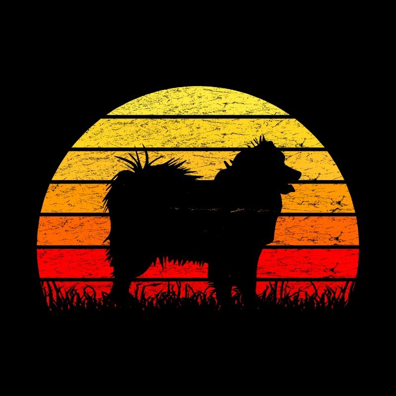 Samoyed sun sunrise silhouette