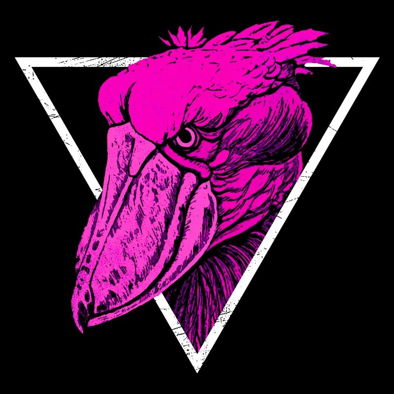 Oiseau bec-en-sabot