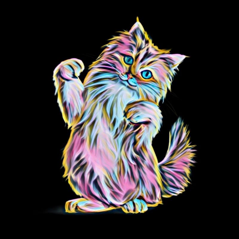 Main Coon