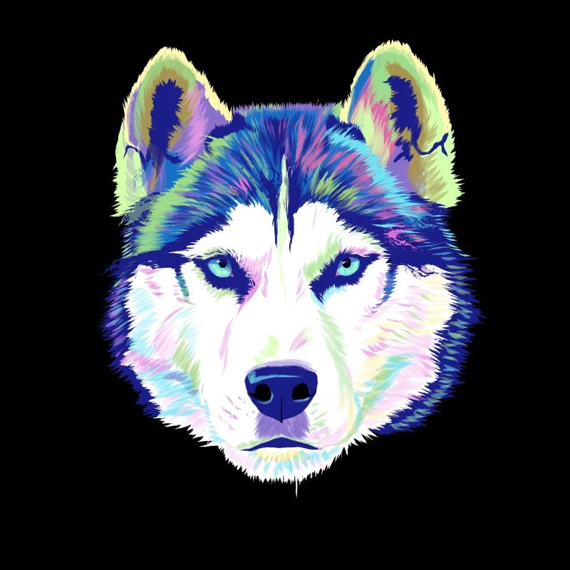 Splash Siberian Husky Hund