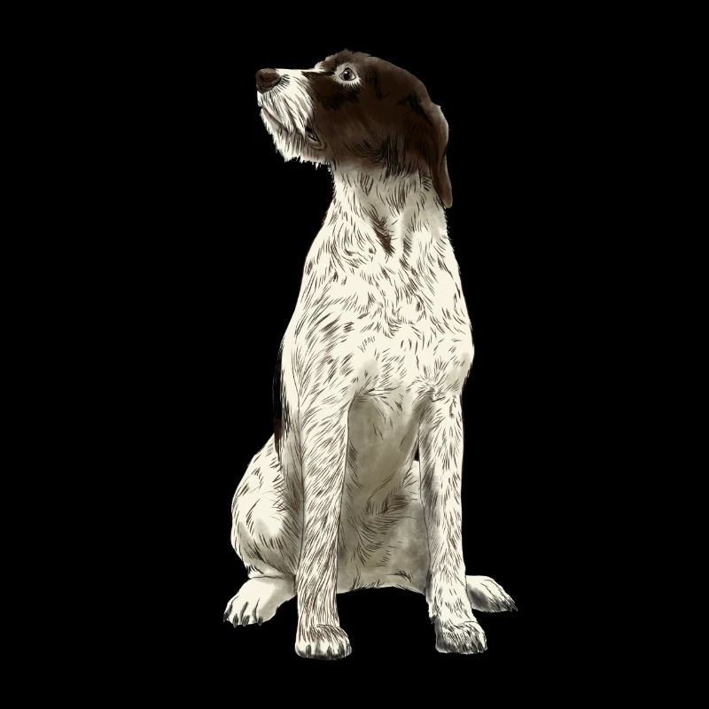 Sitzender Cesky Fousek Hund