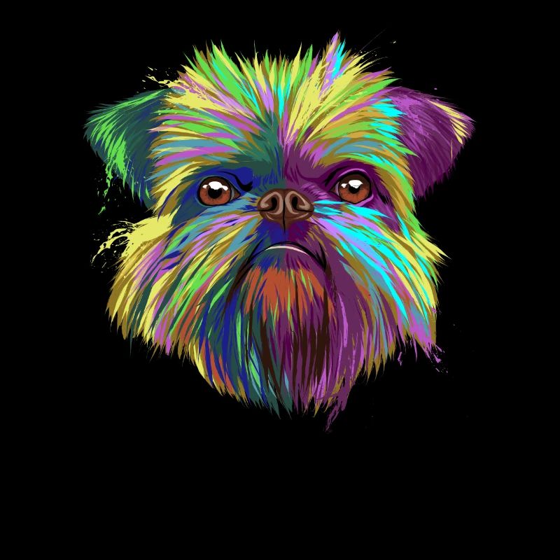 Brussels Griffon chien