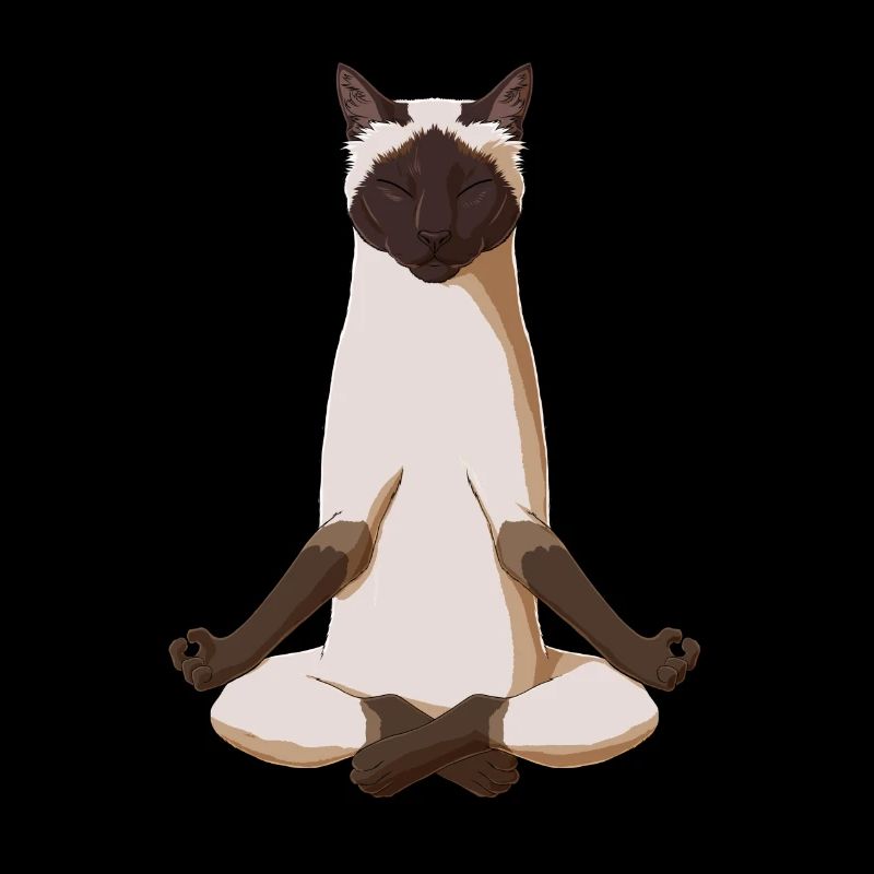 Meditierende Siamese Katze Siamkatze