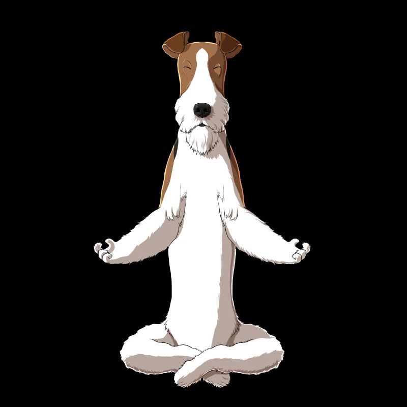 Meditierender Drahthaar Foxterrier Hund