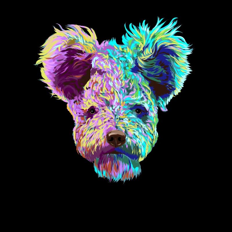 Splash Pumi chien