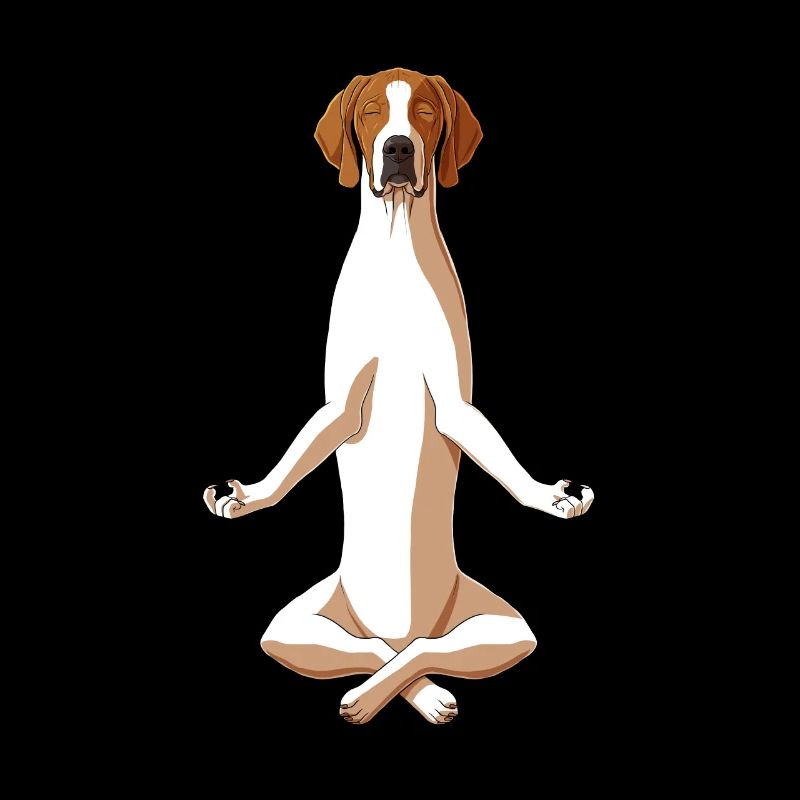 Meditate English Pointer Dog