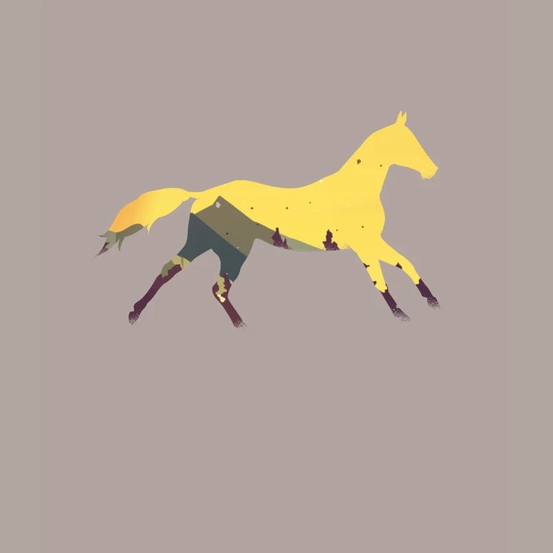 Wildpferd Pferd Pferde Wildpferde