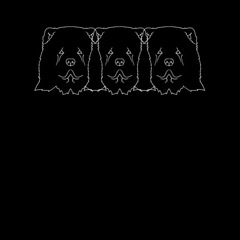 Chow Chow chien