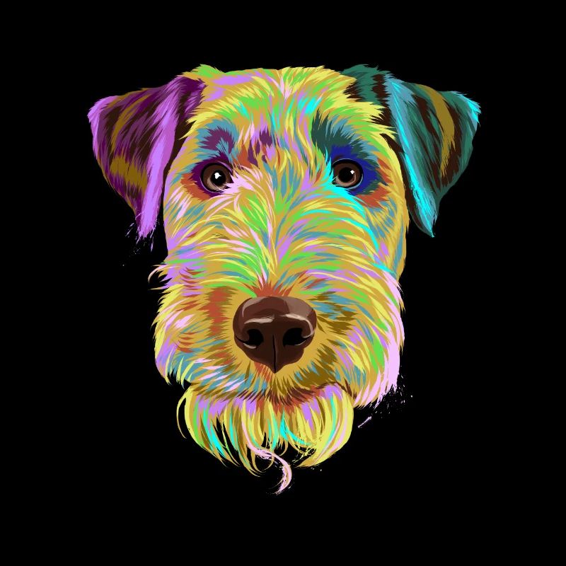 Splash Welsh Terrier Hund