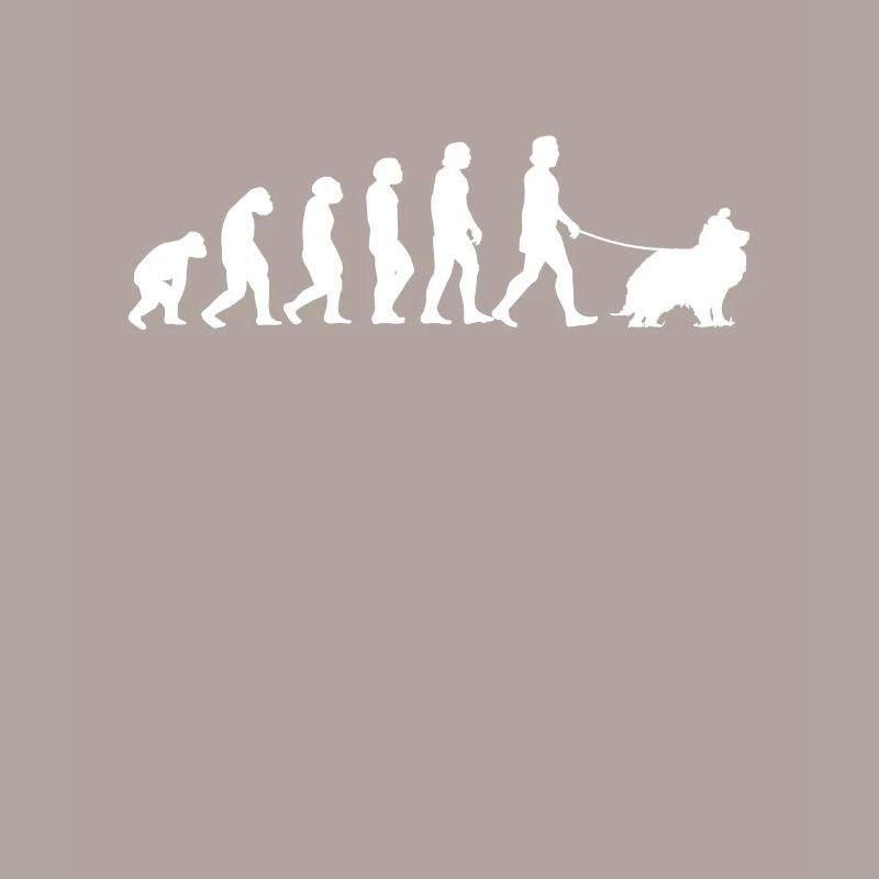 Shetland Sheepdog Evolution Sheltie Geschenk